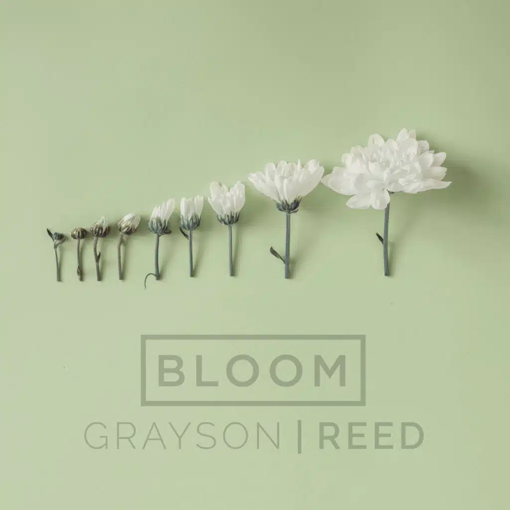 Grayson|Reed