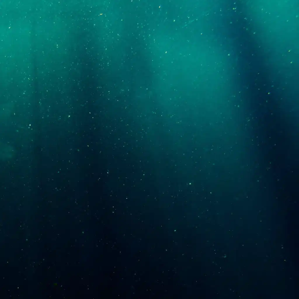 Ocean Tranquility Ambience