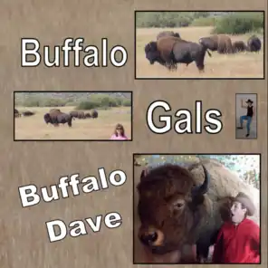 Buffalo Dave