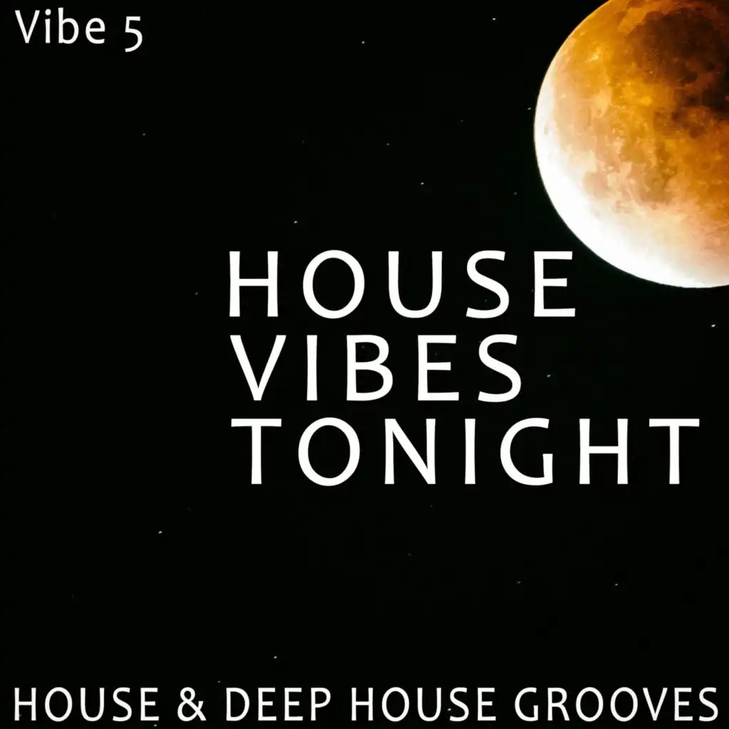 House Vibes Tonight - Vibe.5