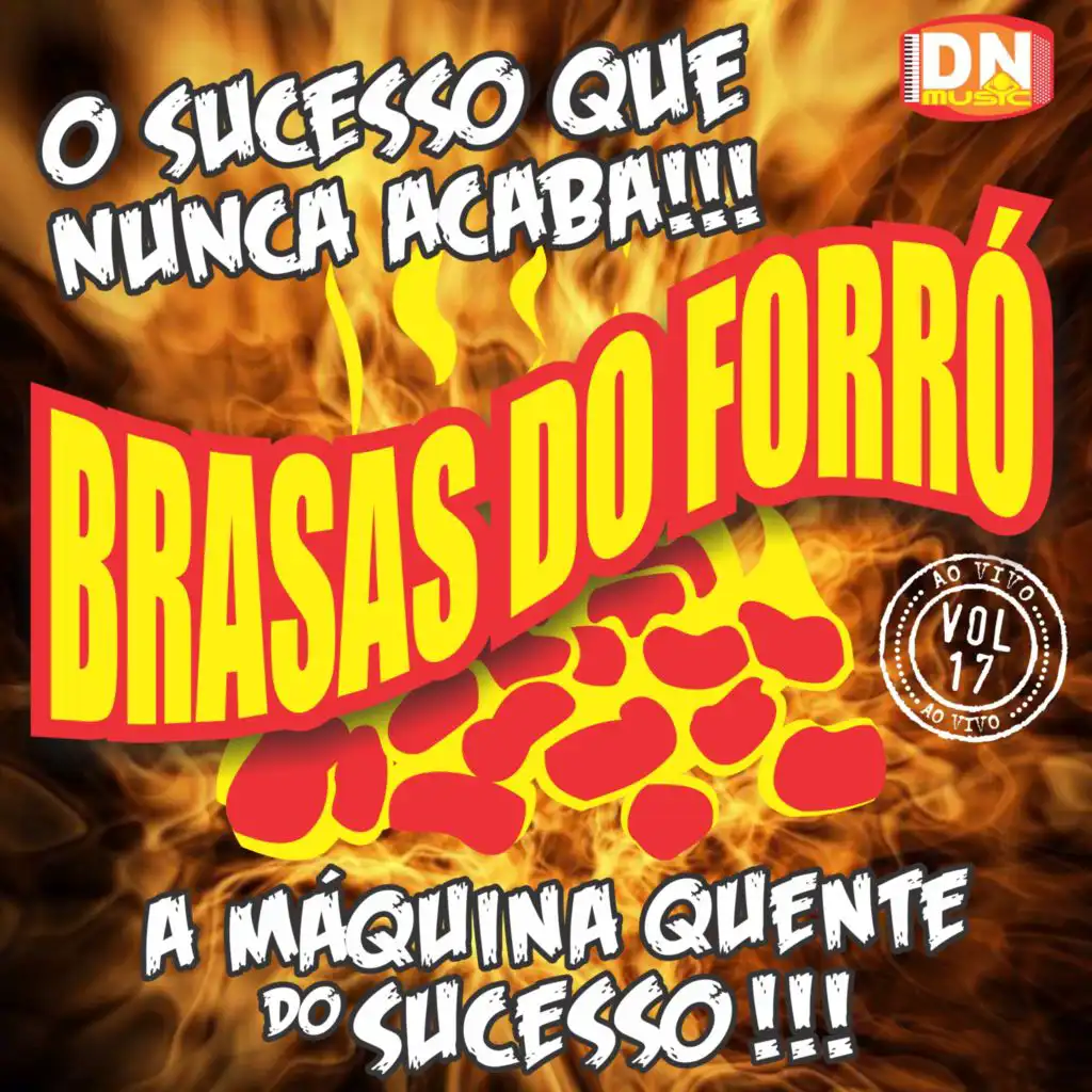 Brasas do Forró, Vol. 17: O Sucesso Que Nunca Acaba!!!