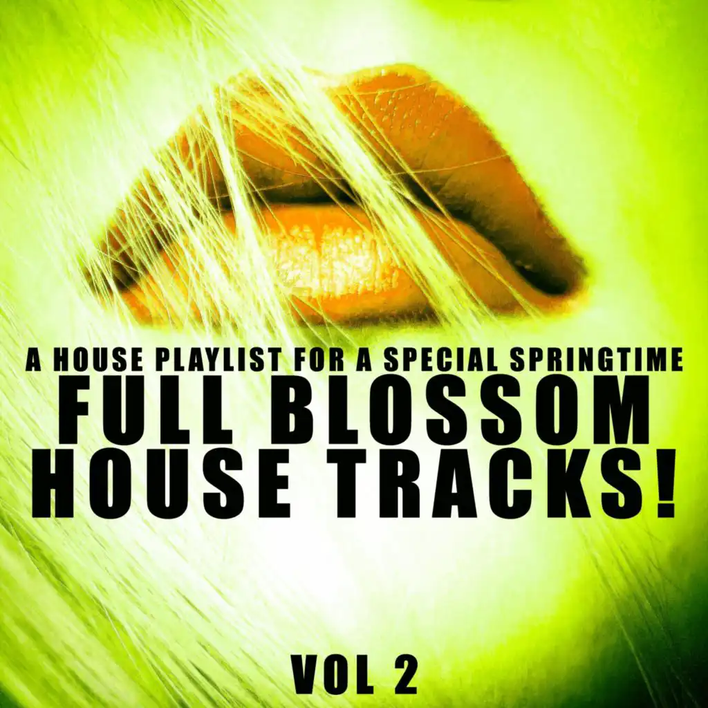 Full Blossom House Tracks! - Vol.2