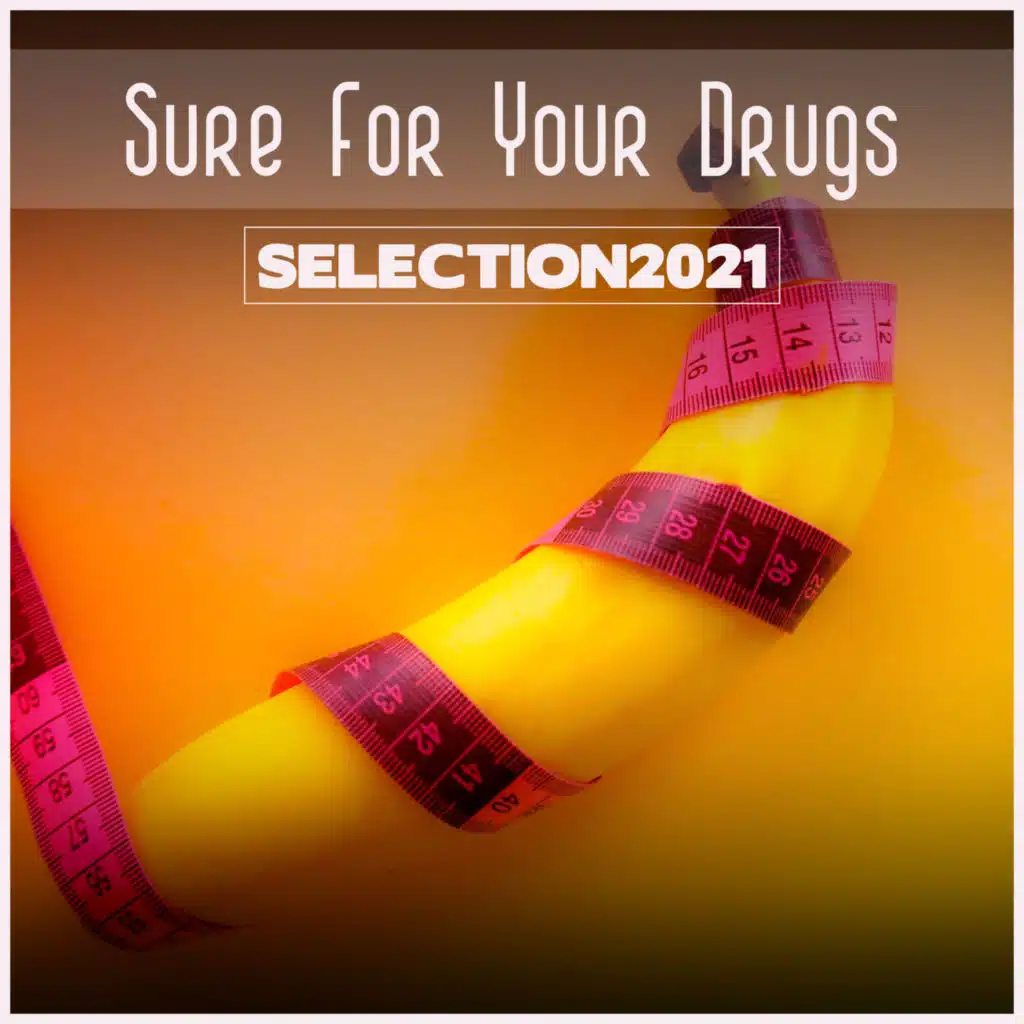 Strudel (Radio Vrs.)