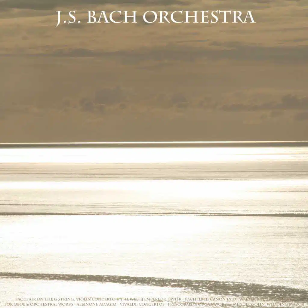 Bach: Air On the G String, Violin Concerto & the Well Tempered Clavier - Pachelbel: Canon in D - Walter Rinaldi: Adagio for Oboe & Orchestral Works - Albinoni: Adagio - Vivaldi: Concertos - Frescobaldi: Organ Works - Mendelssohn: Wedding March