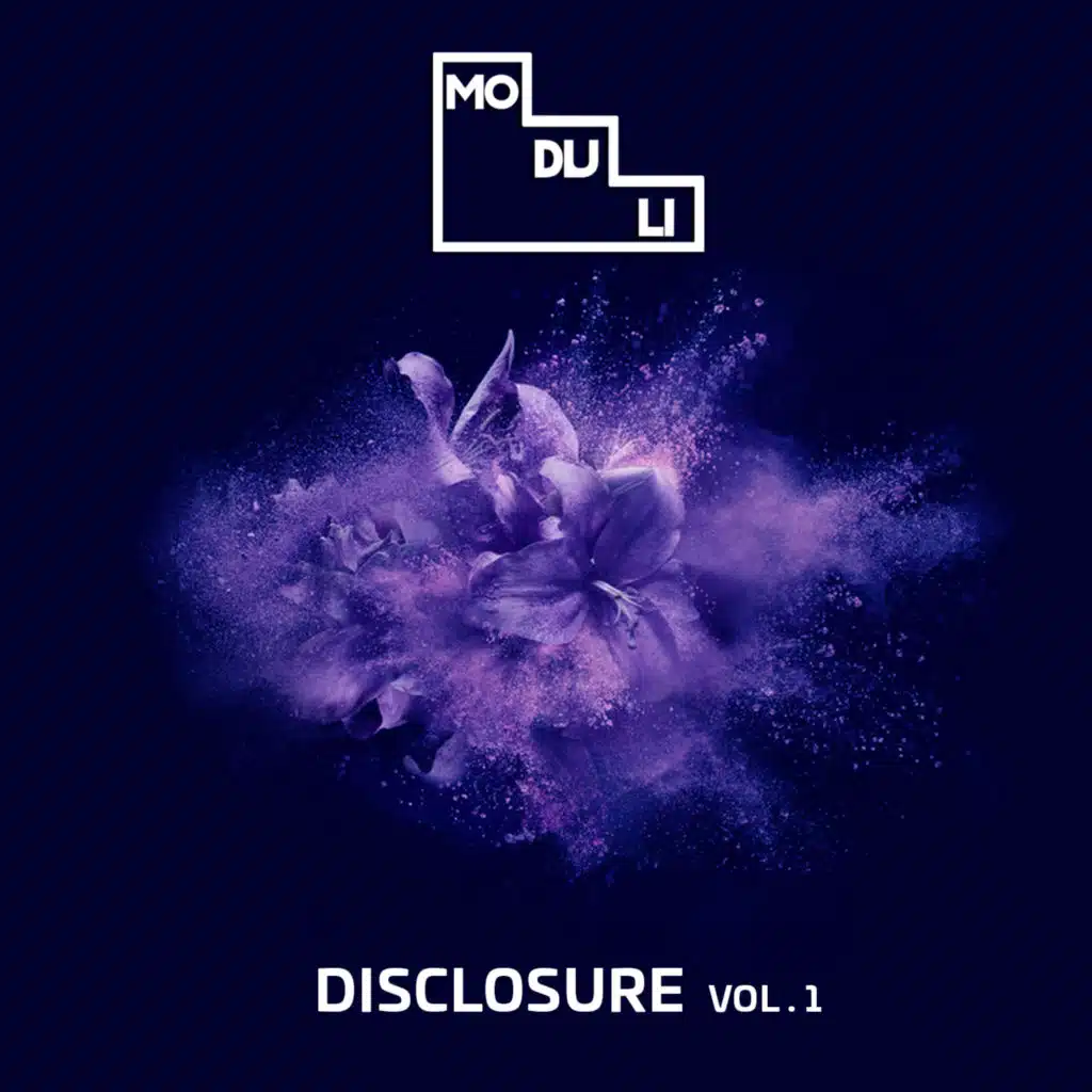 Disclosure Vol.1
