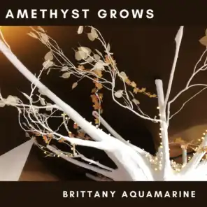 Amethyst Grows