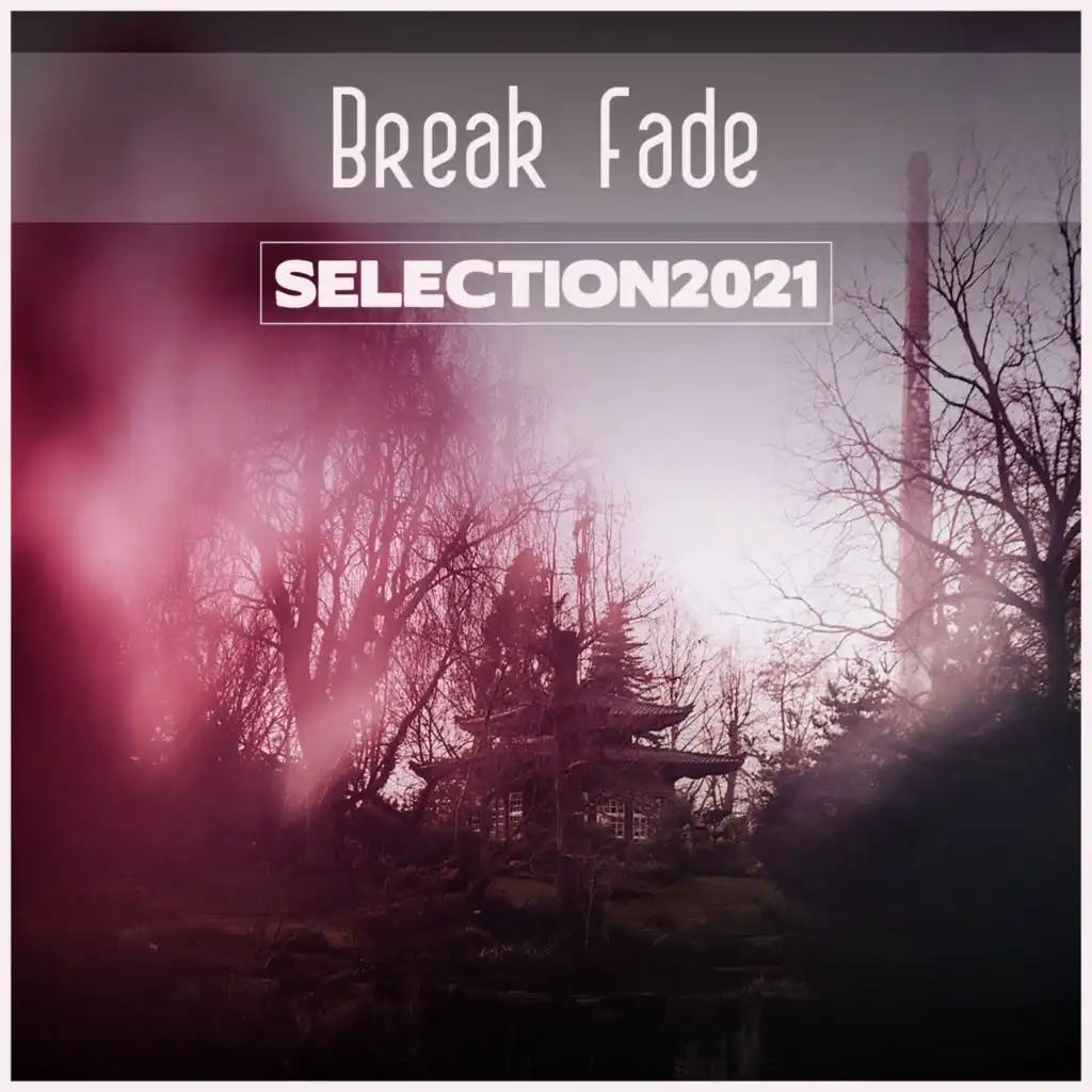 Break Fade Selection 2021