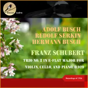 Schubert: Trio No. 2 In E-Flat Major for Violin, Cello, and Piano, D.929, I. Allegro