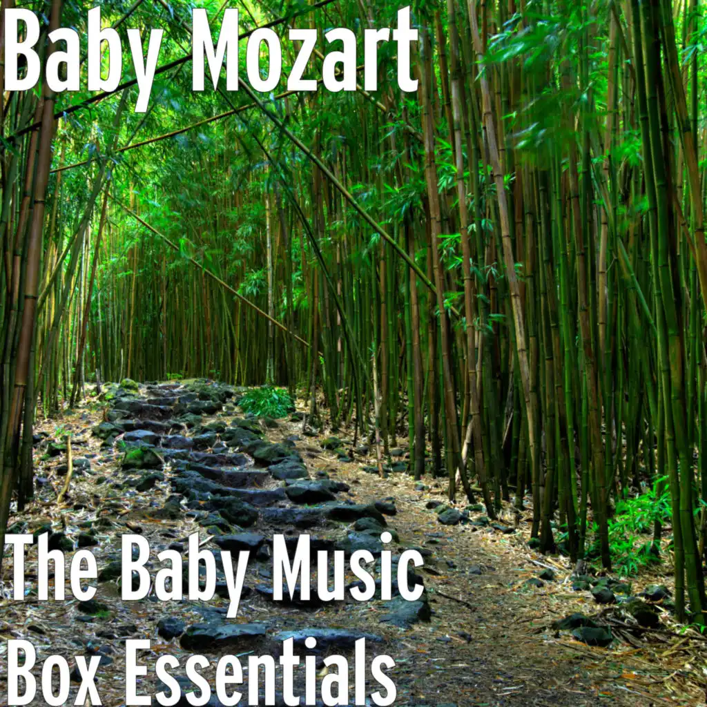 The Baby Music Box Essentials