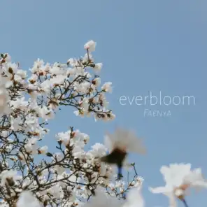 Everbloom