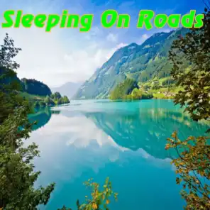 Sleeping On Roads