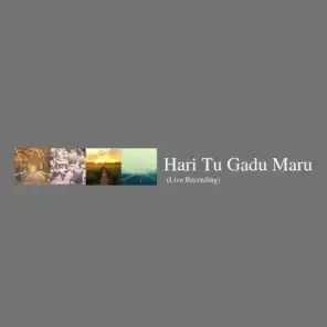 Hari Tu Gadu Maru (feat. Parry Mad)