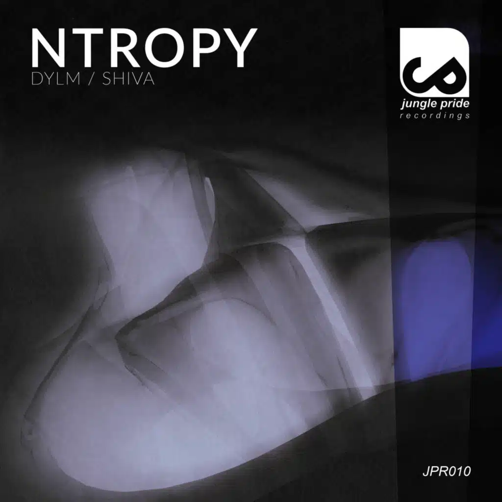 Ntropy