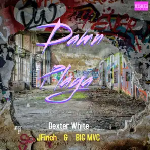 Damn Playa (feat. JFinch & Big MVC)