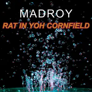Rat in Yoh Cornfield
