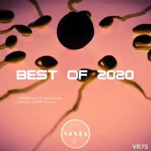 Best of Vesta 2020