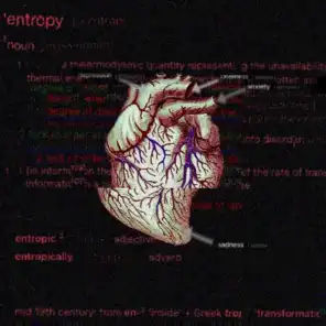 Entropy of a Human Heart