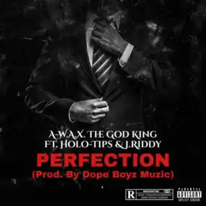 Perfection (feat. Holo-Tips & J. Riddy)