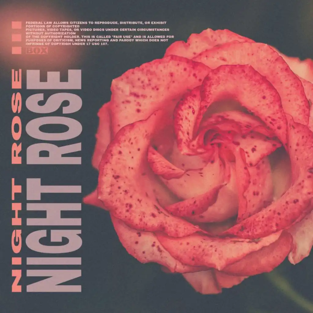 Night Rose III