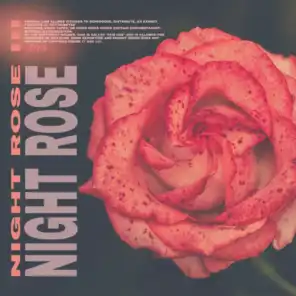 Night Rose III