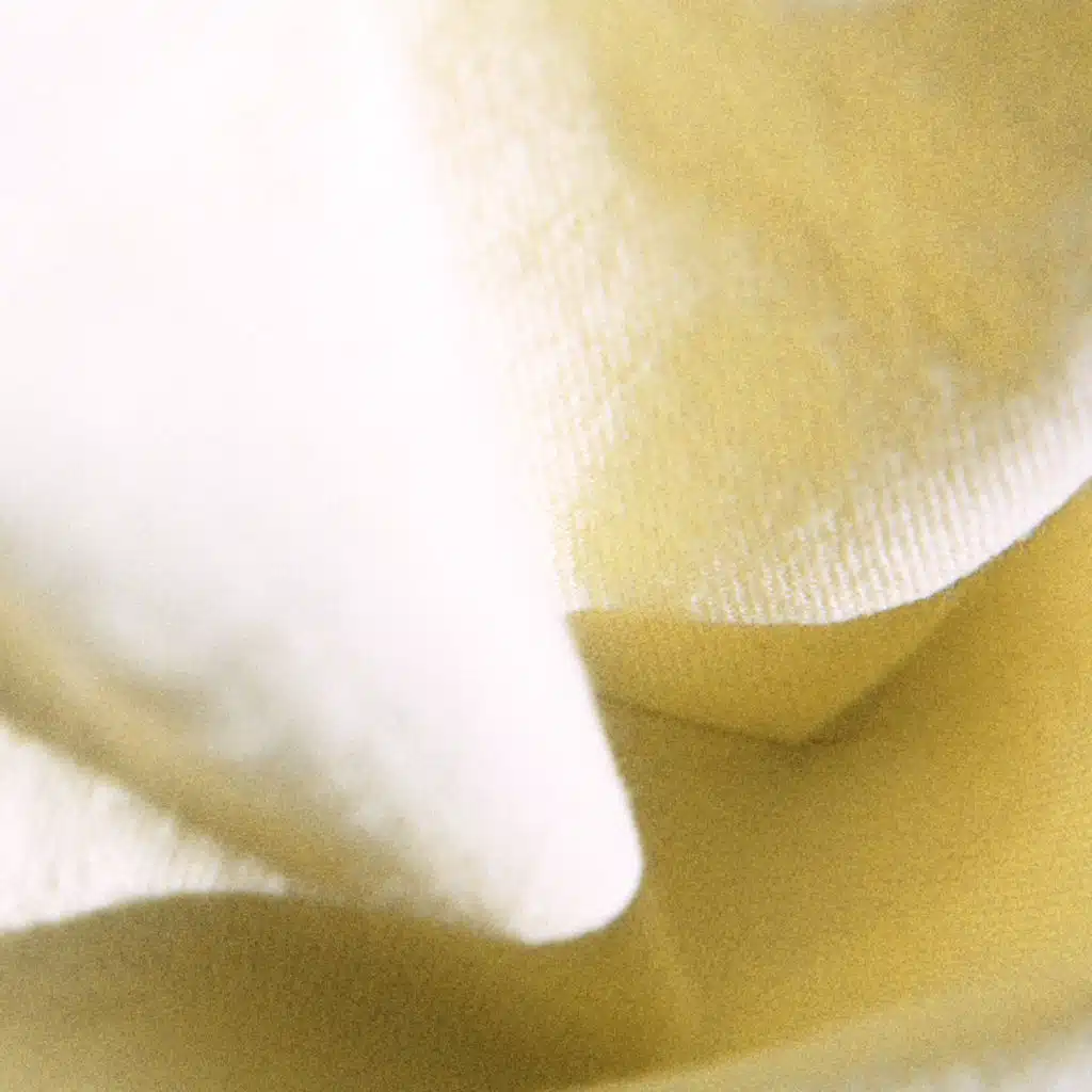 Ude no naka de shika nemurenai neko no you ni