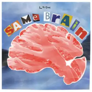 Same Brain