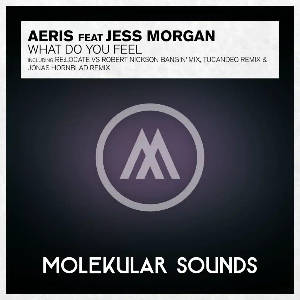 What Do You Feel? (feat. Jess Morgan)