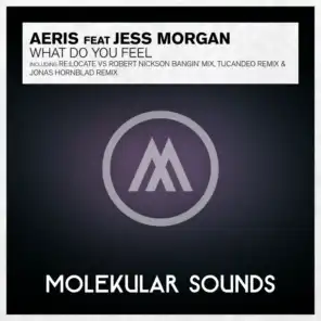 What Do You Feel? (Jonas Hornblad Edit) [feat. Jess Morgan]