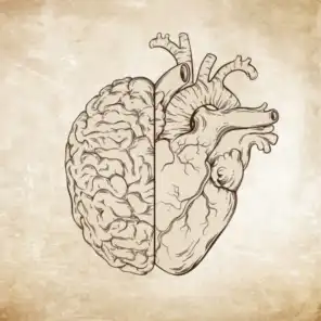 cuore/cervello