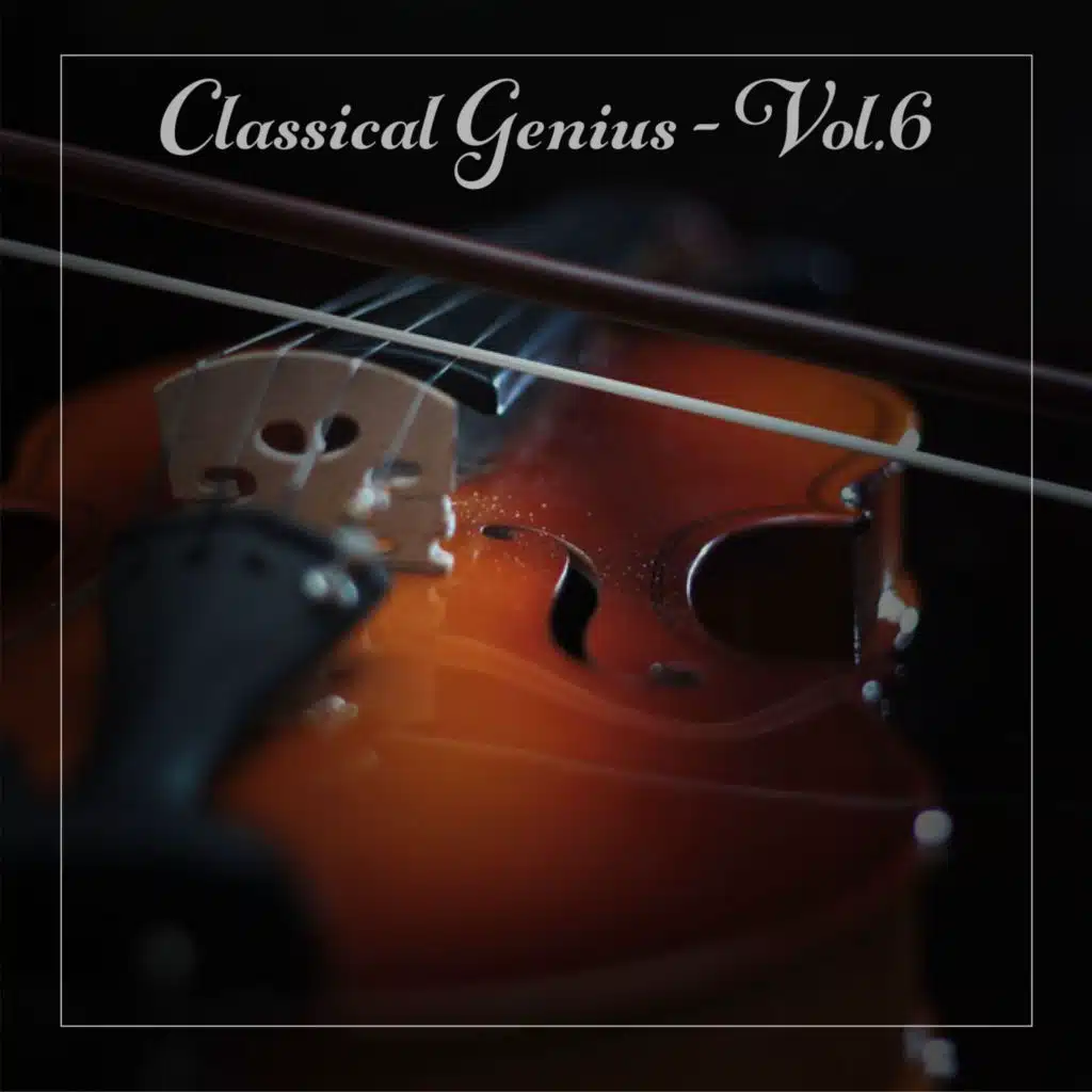 The Tchaikovsky Symphony Orchestra