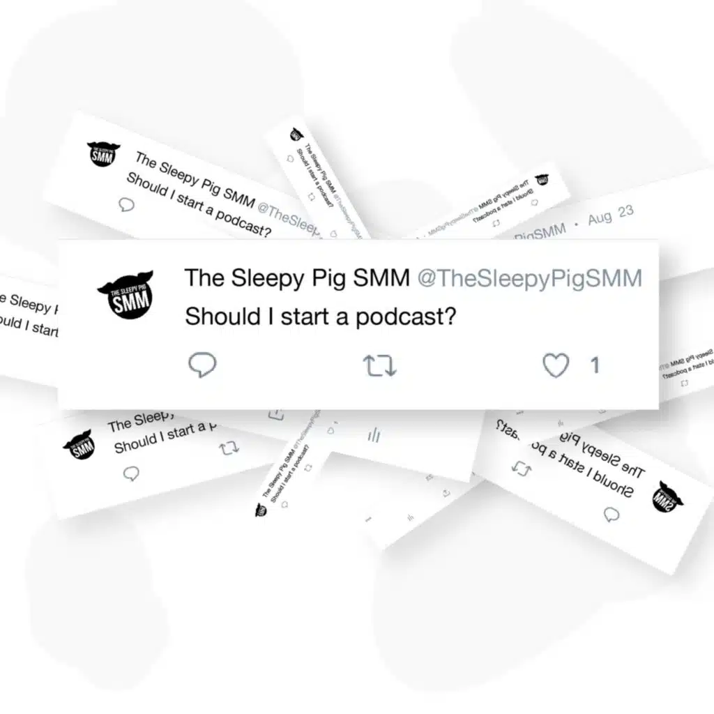 The Sleepy Pig Social Media Management