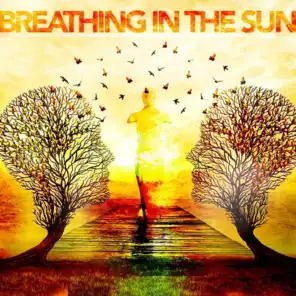 Breathing in the Sun