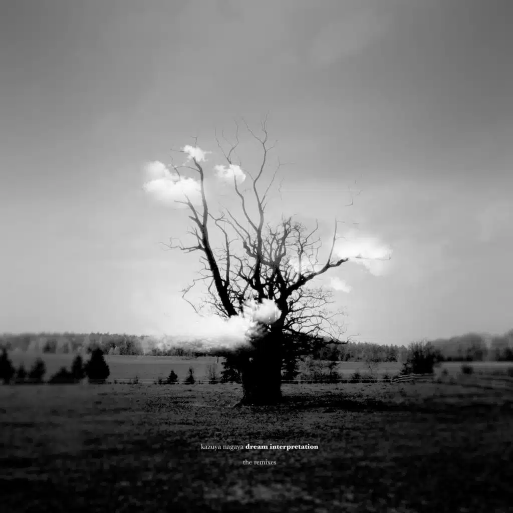 Wolfman's Dream (Yotam Avni Remix)