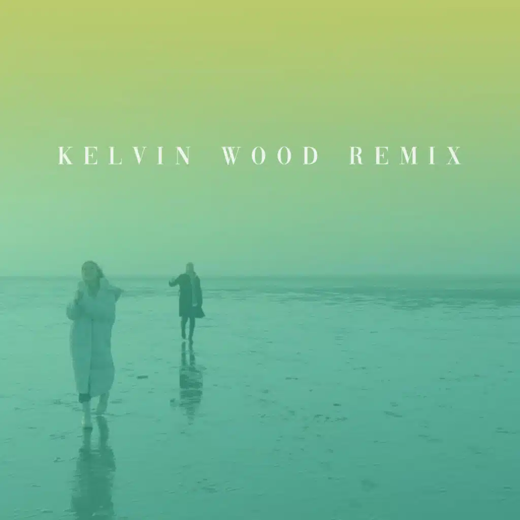 You'll Always Find a Way (feat. Kelvin Wood)