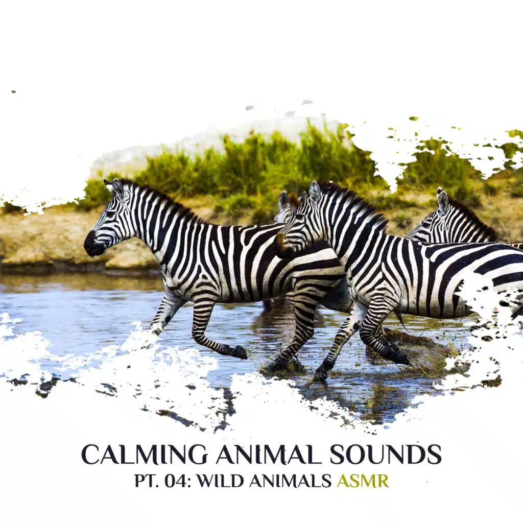 Calming Animal Sounds, Pt. 04 (Wild Animals ASMR, Calm Jungle at Night, Natural Sounds of Village Animals, Savanna Nightlife, Wellness Spa & Trouble Sleeping Music, Mind Relaxation ASMR)
