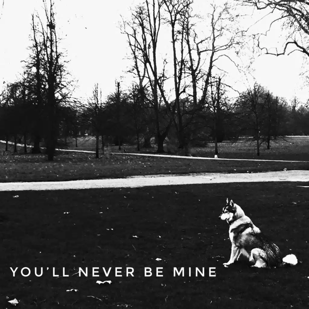 You'll Never Be Mine