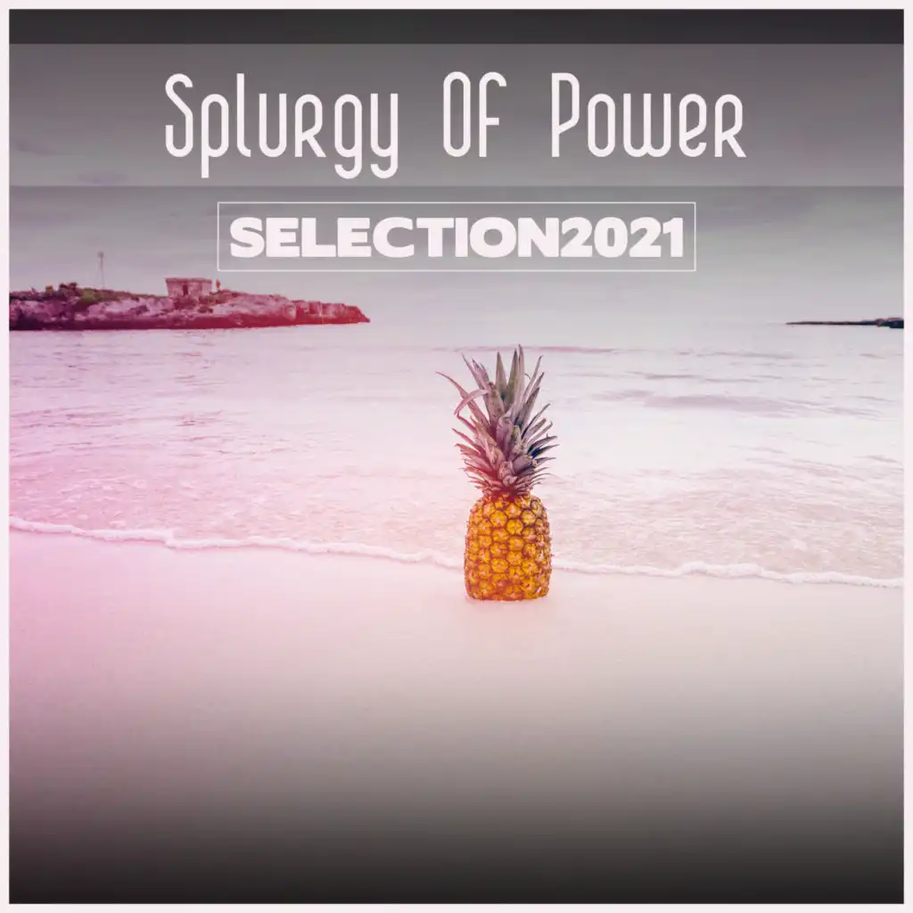 Splurgy Of Power Selection 2021