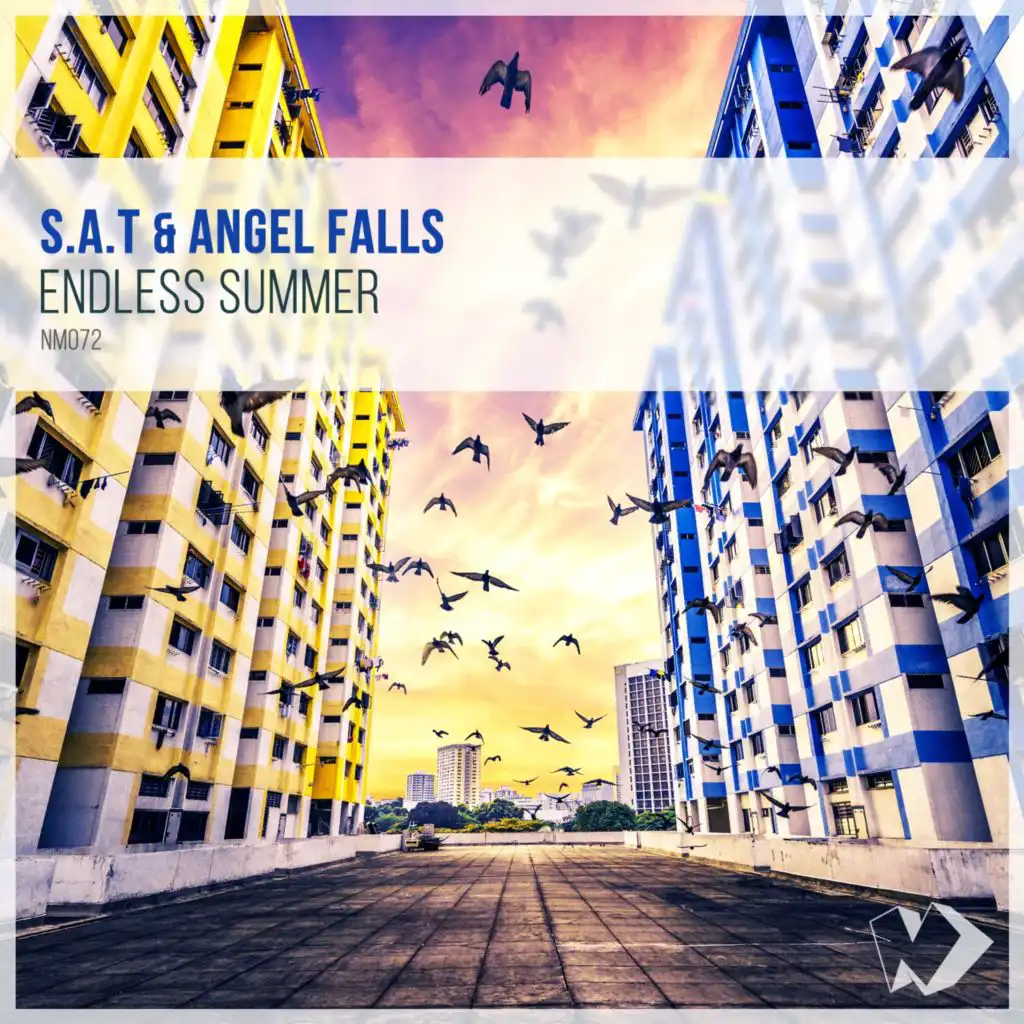 Endless Summer (feat. Angel Falls)