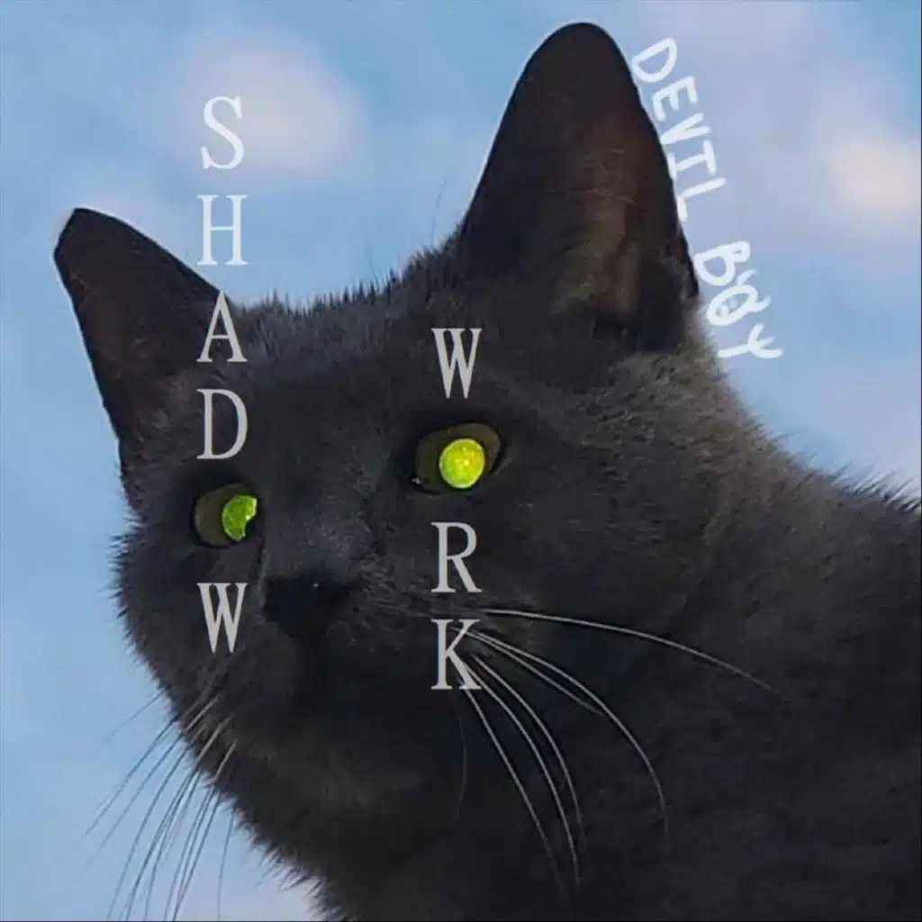 Shadow Work