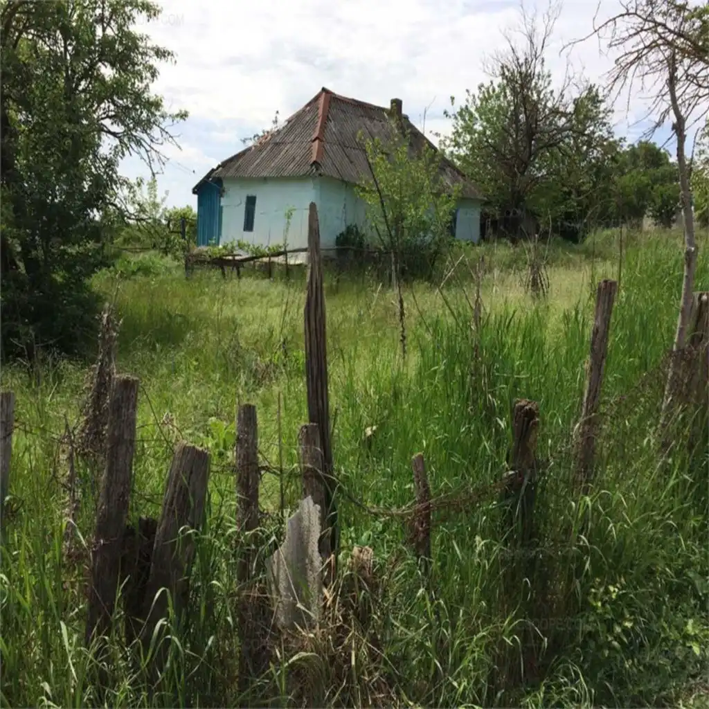 Morning in the Village. Sounds of Nature in the Village