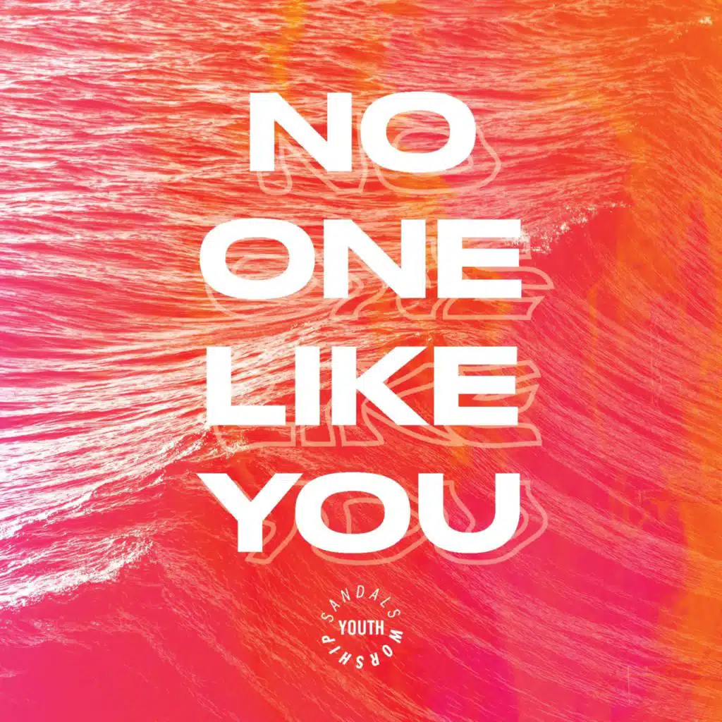 No One Like You