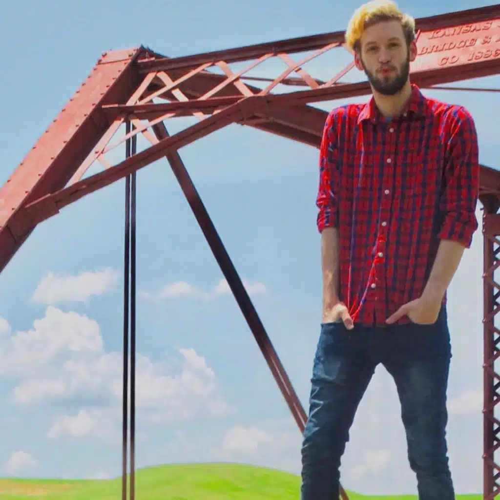 Pineapples & Strawberries