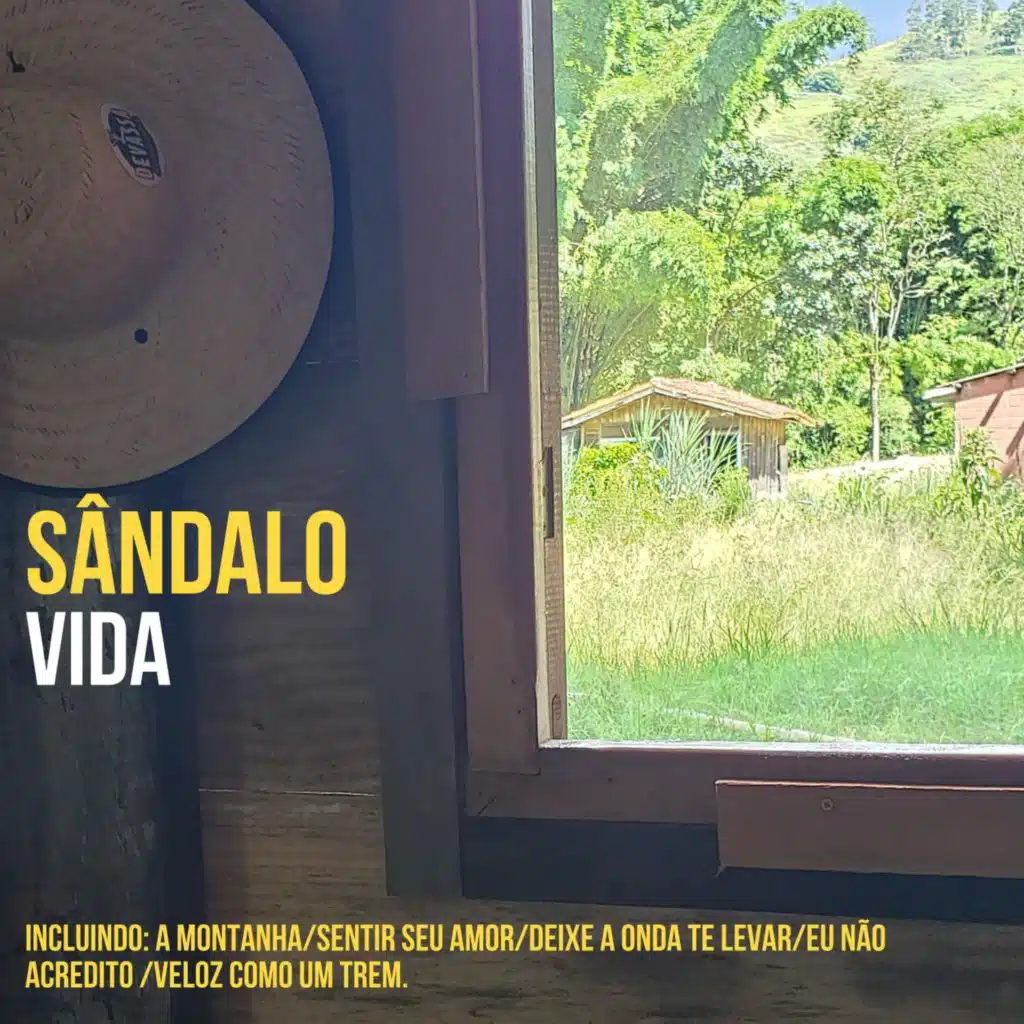 Vida