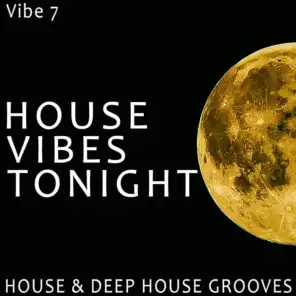House Vibes Tonight - Vibe.7