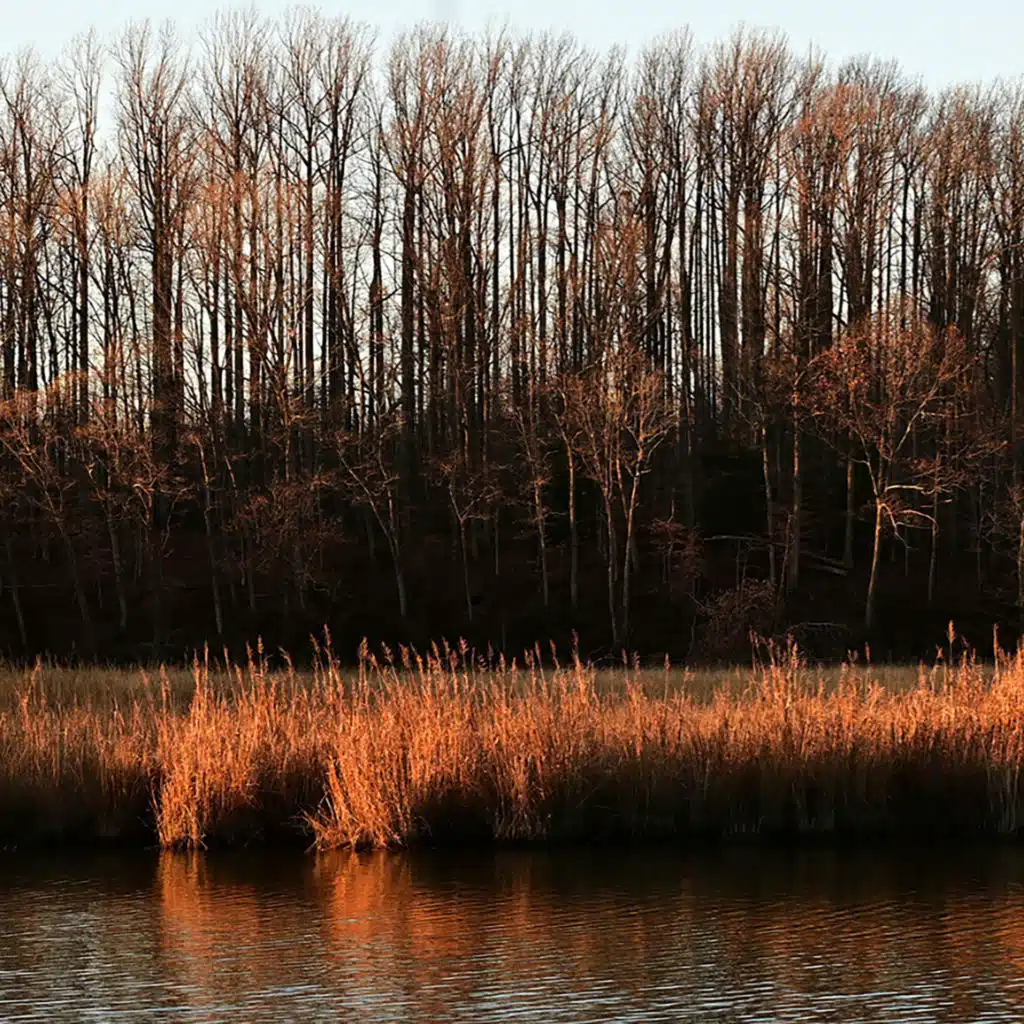 مصحف الشيخ جلهوم