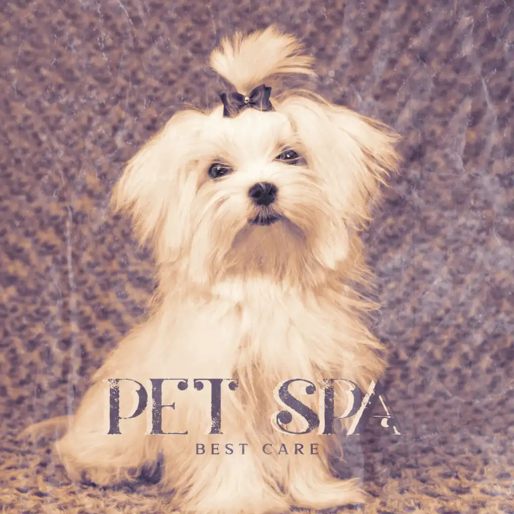 Pet Spa (Best Care, Spa Music, Time for Relaxation, Curb the Madness)