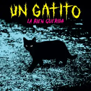Un Gatito (feat. Alizzz)