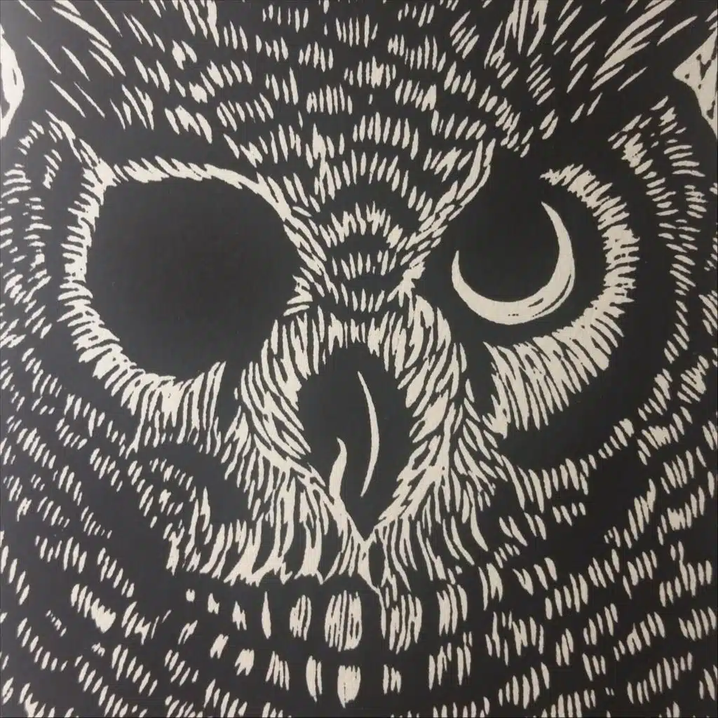 Owl See You...on the Other Slide