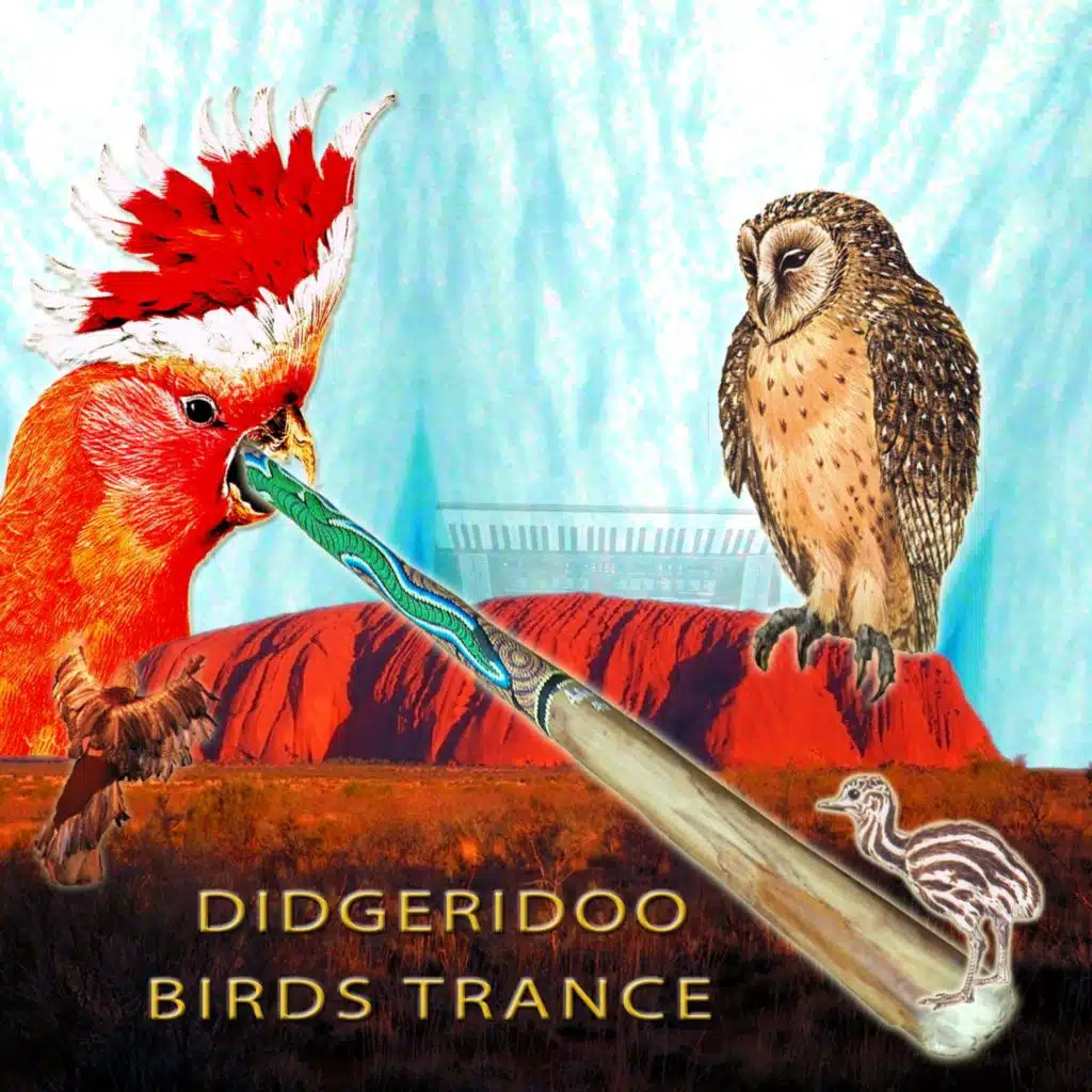 Didgeridoo Birds Dance (Naturally Groovy)