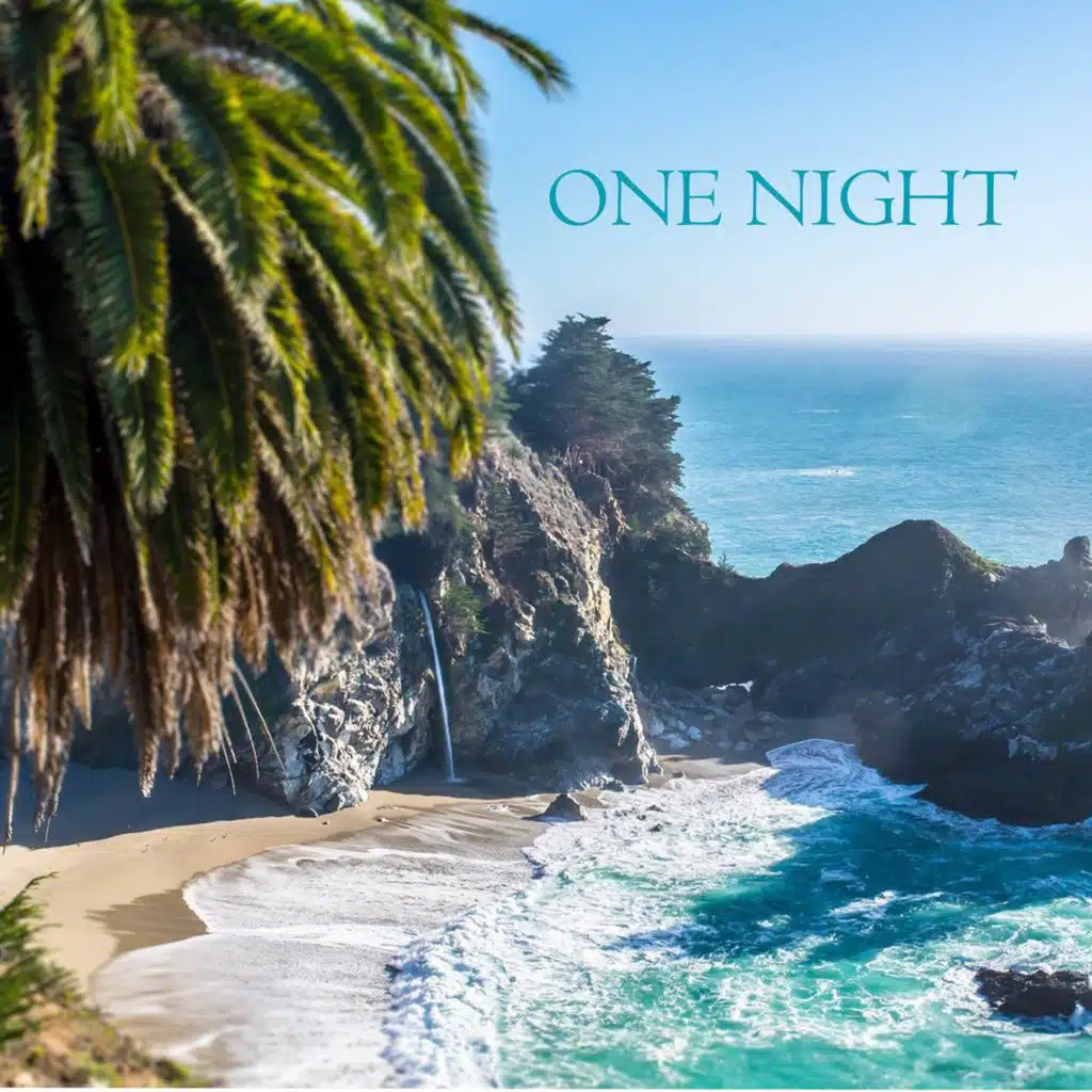 One Night (feat. Simple-Life)